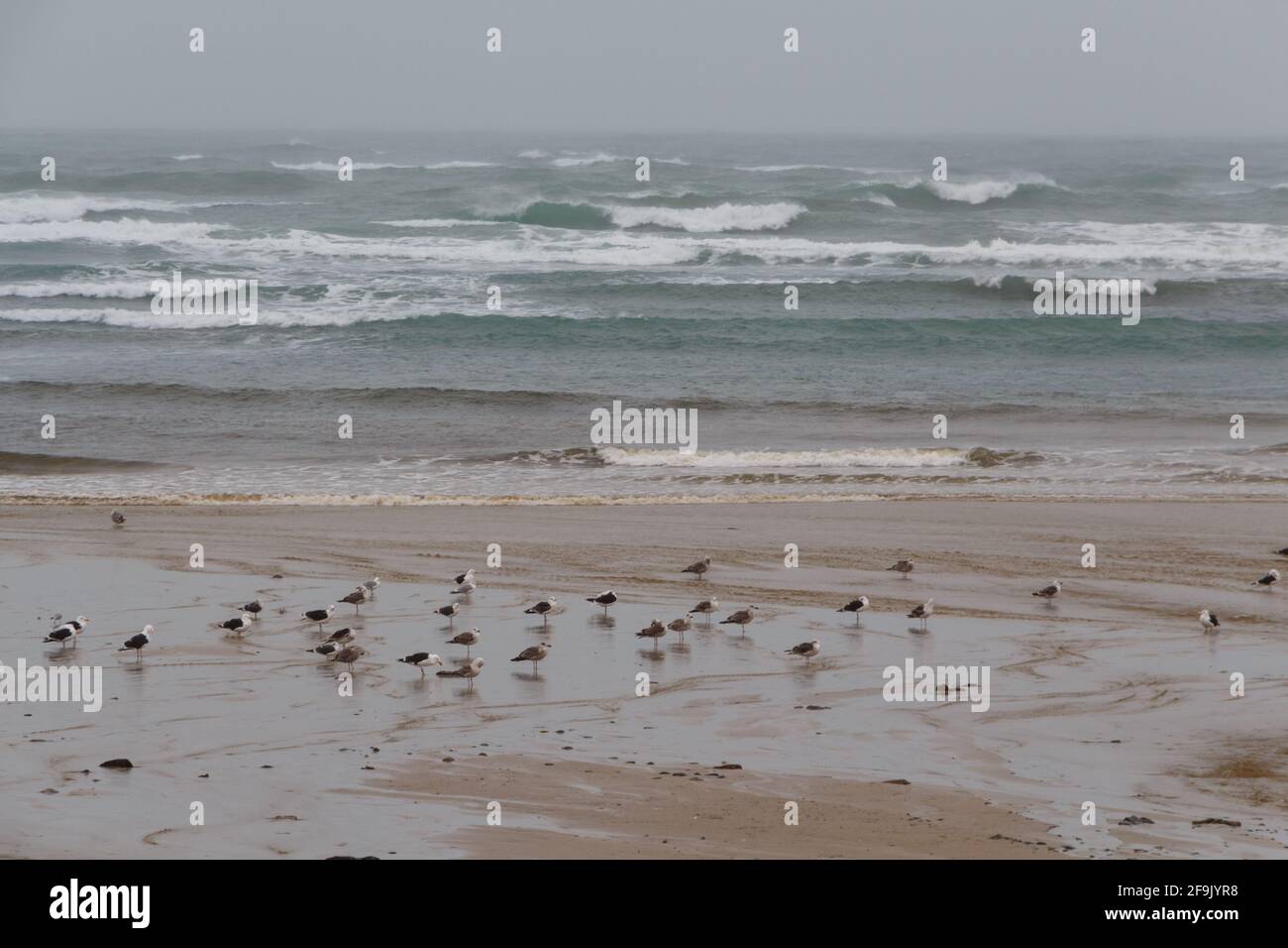 Beach in Brittany during a storm in winter Stock Photo - Alamy