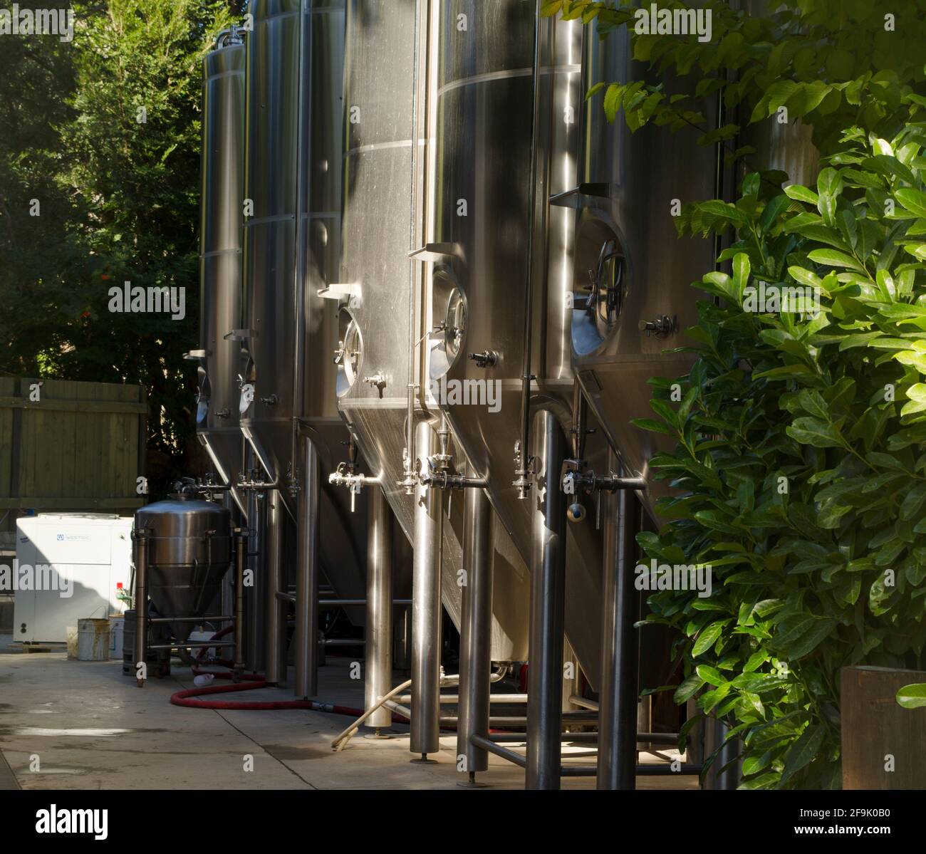 modern craft beer brewing barrels, brewery Stock Photo Alamy