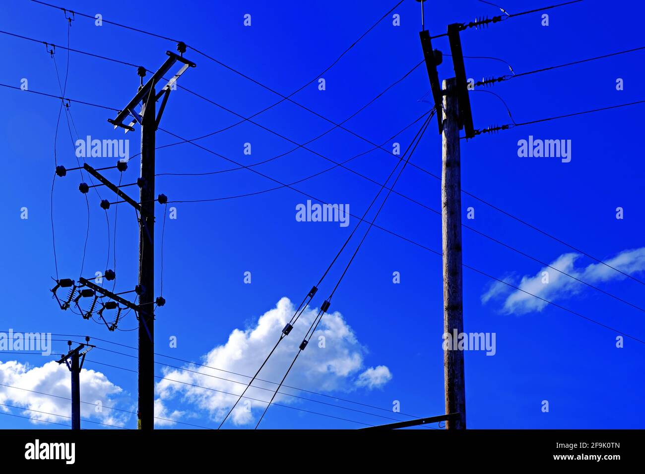 Telephone poles line and power cables against deep blue sky and white cumulus cloud Stock Photo