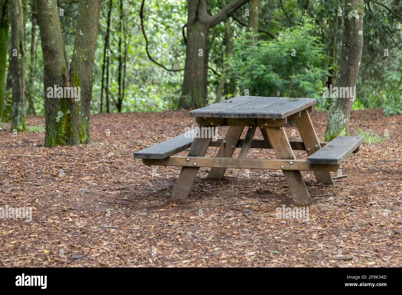 a rustic wooden table with benches in the middle of a forest in