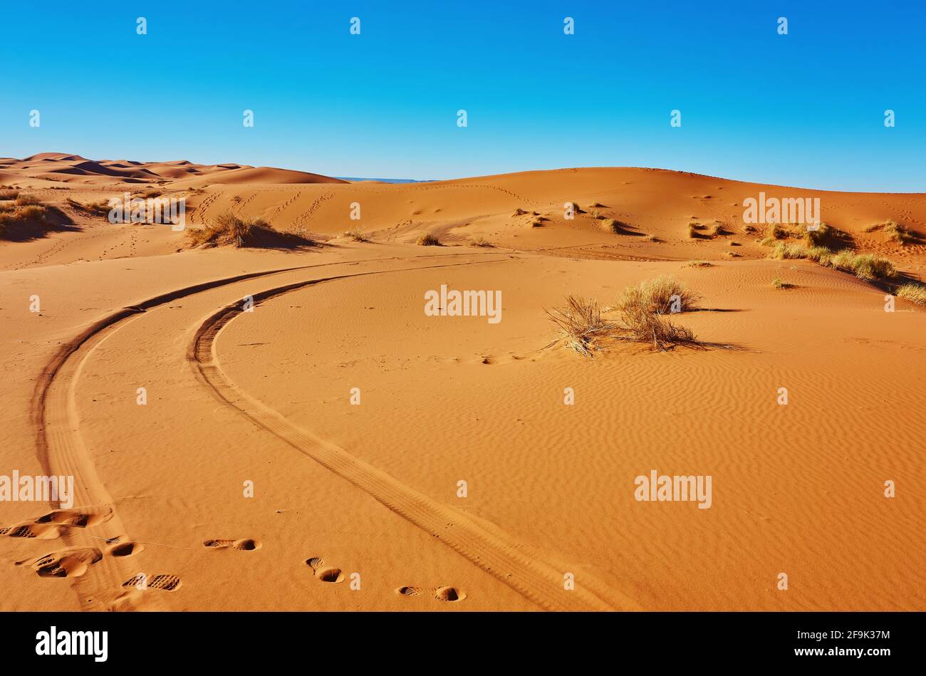 Sand dunes in the Sahara Desert, Merzouga, Morocco Stock Photo - Alamy