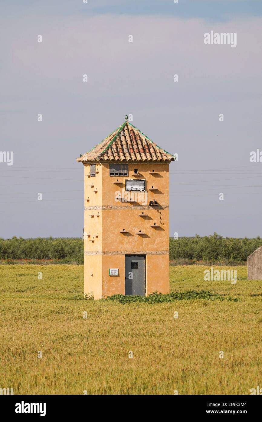 Cultivated fields around nature park Fuente de Piedra with old tower with bird nest possibilities, Andalucia, Spain. Stock Photo