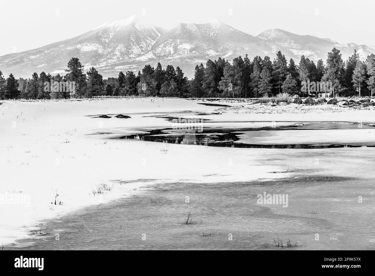 Black and white landscape photo of a frozen Kachina Wetlands Preserve in Flagstaff, Arizona, with the San Francisco Mountain in the background. Stock Photo