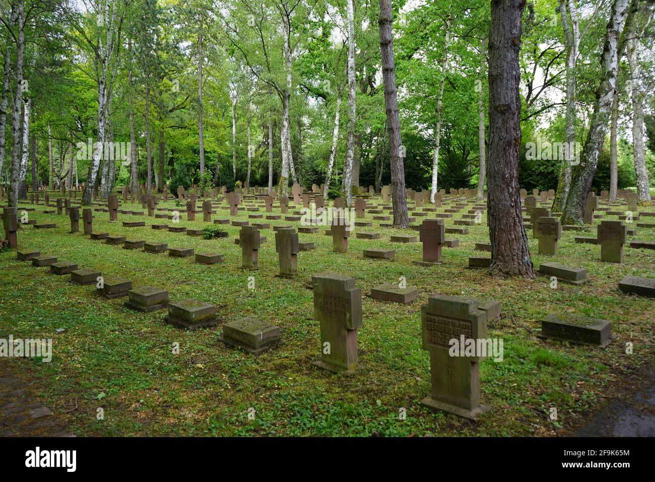 Kriegsgräber, Gewann 7, Hauptfriedhof, Ehrenfriedhof, Frankfurt am Main, Hessen, Deutschland Stock Photo