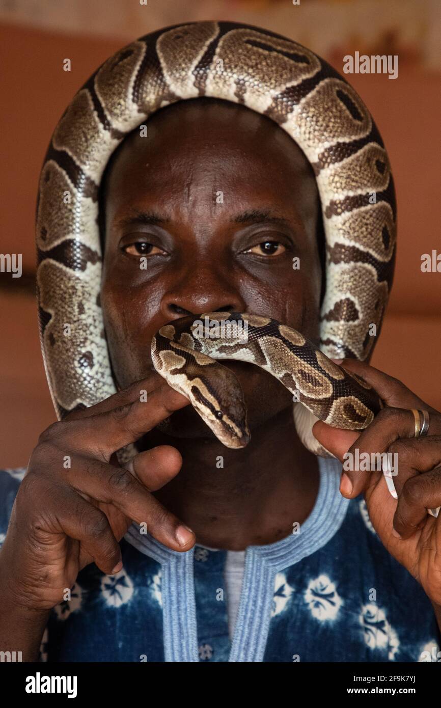 Marc cares for around 50 royal pythons in the temple - something his family has done for generations. OUIDAH, BENIN: MEET THE man who looks after a te Stock Photo