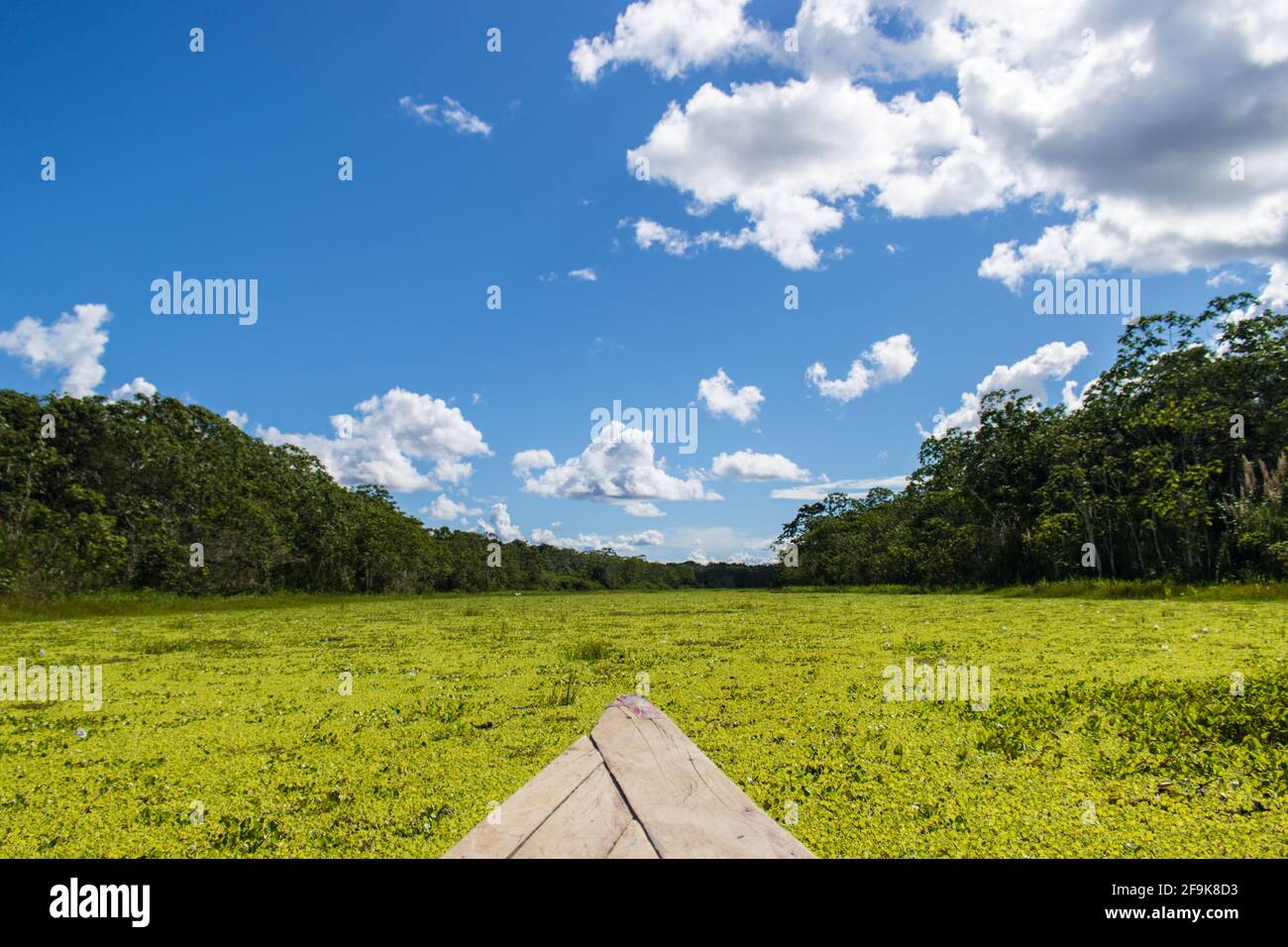 sailing deep in the Peruvian rainforest Stock Photo