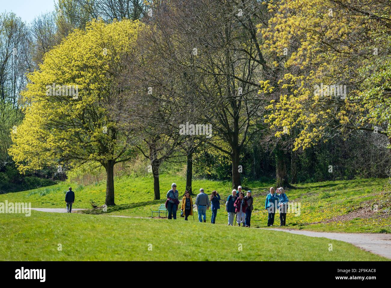 Day out in the park for these pensioners as lockdown is released. Stock Photo
