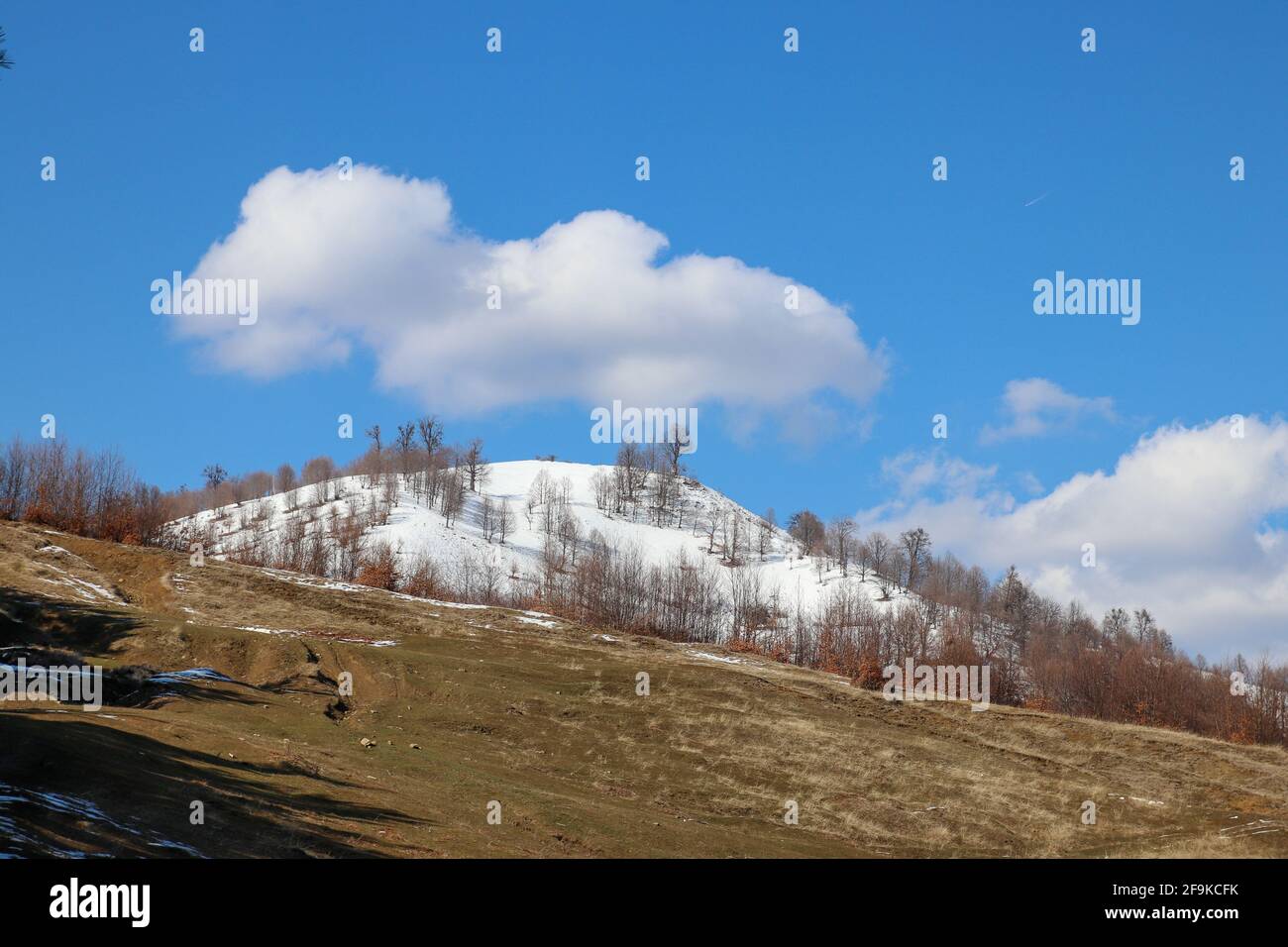 Field with blue sky in background and white clouds Stock Photo