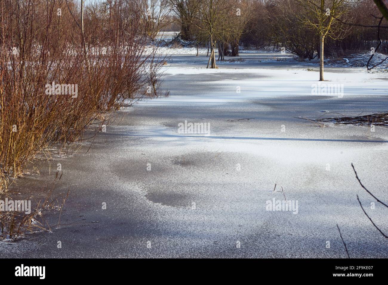 Eis auf Hochwasser in der Aue, Fluß Wetter, Wetterau, Ossenheim, Hessen, Deutschland Stock Photo