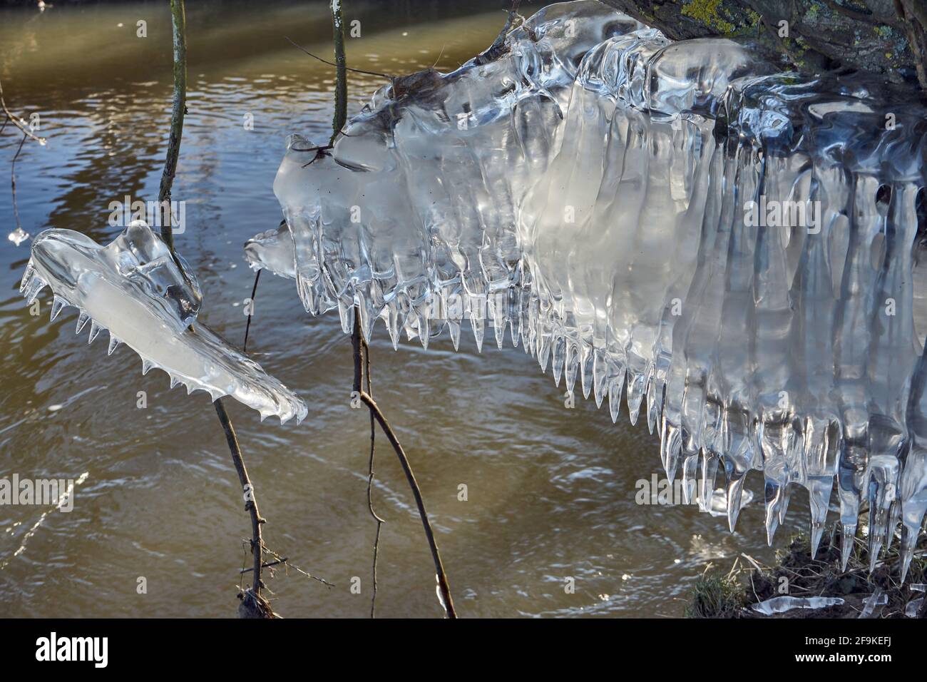 Bizarre Eisformation am Stamm einer Weide (Salix), Eiszapfen, durch absinkendes Hochwasser entstanden, Fluß Wetter, Wetterau, Ossenheim, Hessen Stock Photo