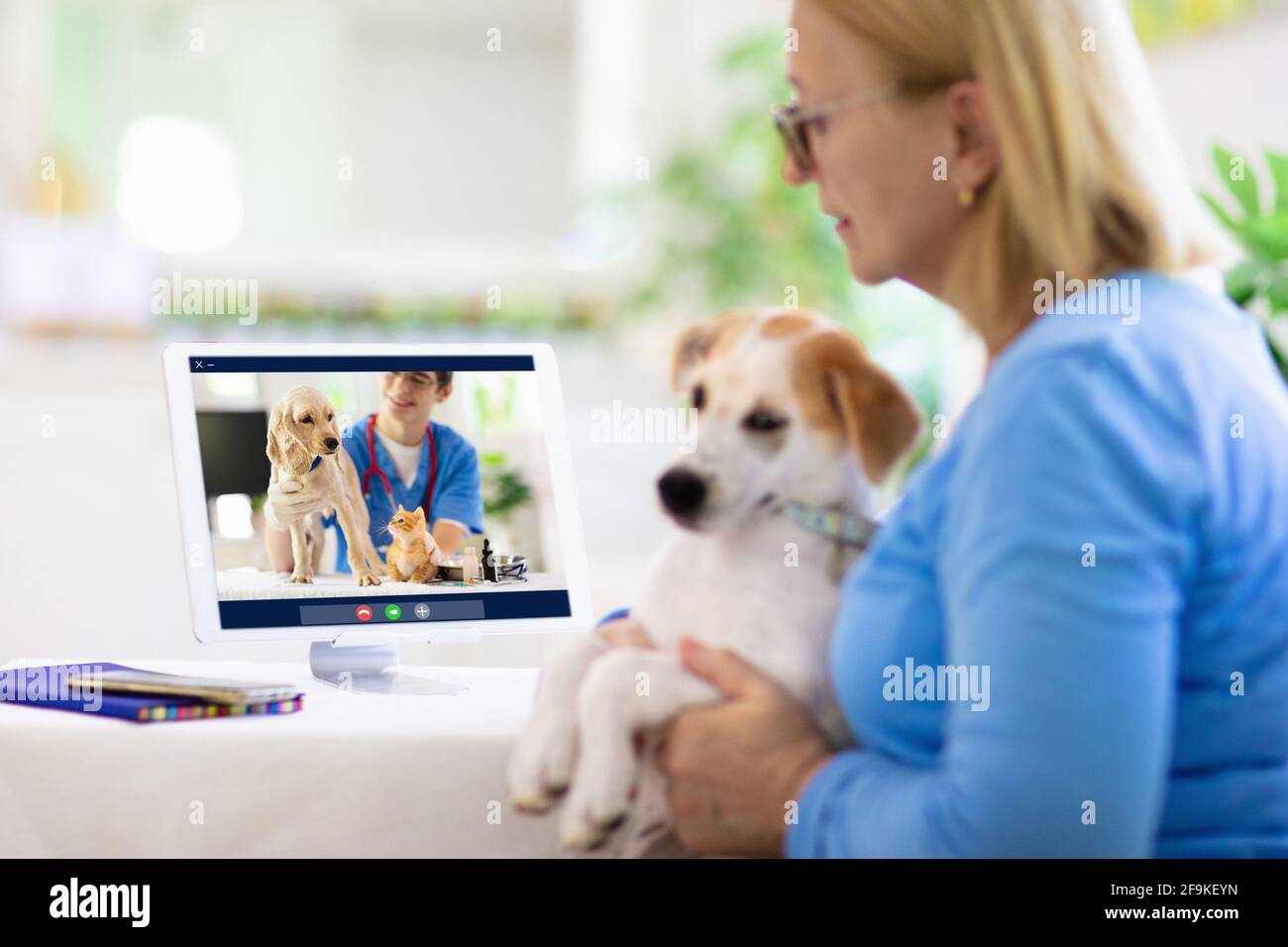 Online consultation with veterinarian. Vet examining animal via video chat. Dog check up during quarantine. Veterinary doctor checking pet Stock Photo - Alamy Online consultation with veterinarian. Vet examining animal via video chat. Dog check up during quarantine. Veterinary doctor checking pet Stock Photo - Alamy