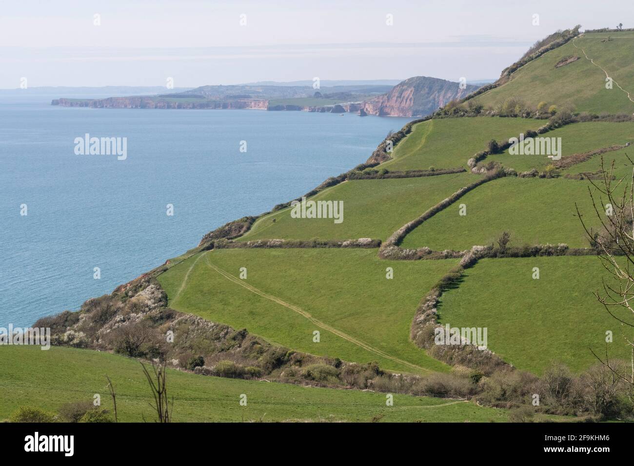 View from the South West Coastal path walking route across fields down to Salcombe Mouth, near Sidmouth, Devon. Stock Photo