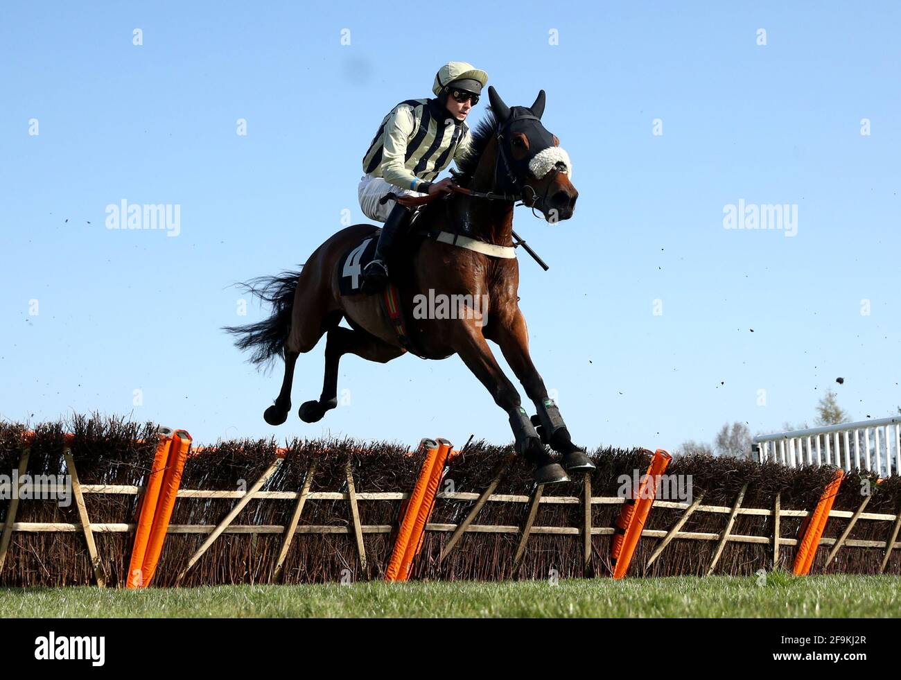 Soul icon horse hi-res stock photography and images - Alamy