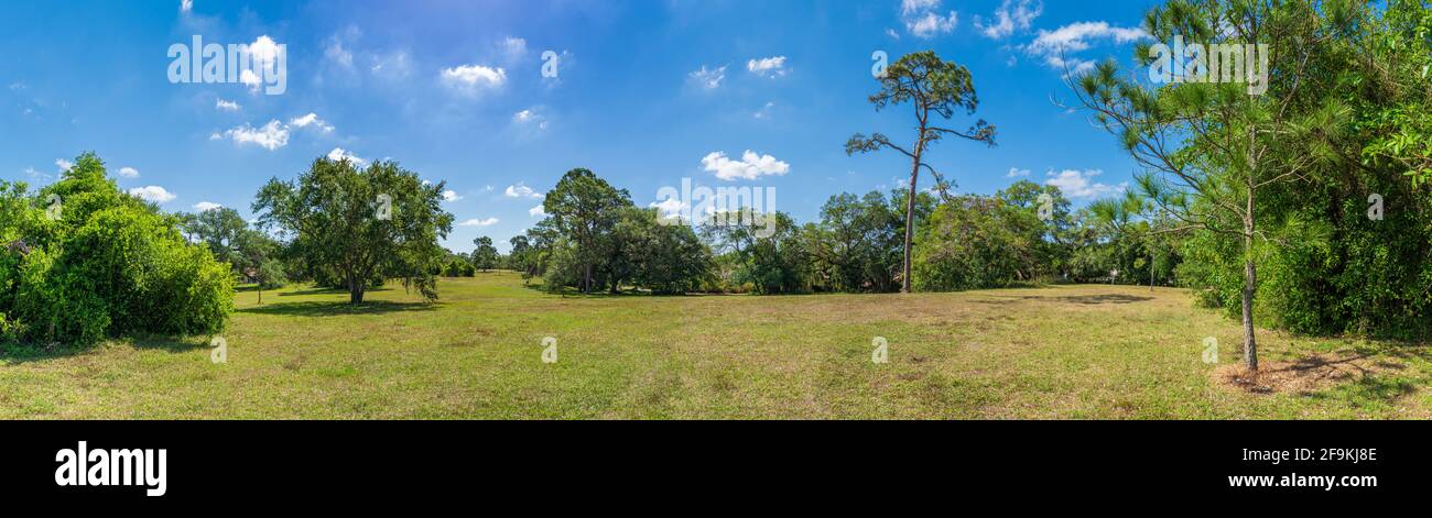 Panorama of Pine Island Ridge Natural Area - Davie, Florida, USA Stock Photo