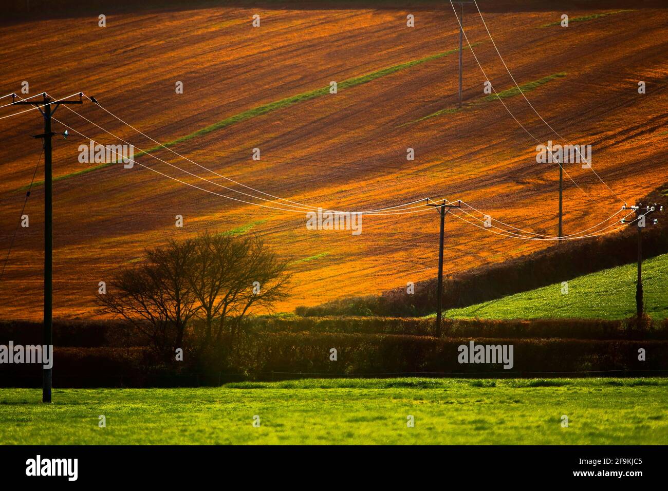 Electrical wire lines in agricultural field Stock Photo