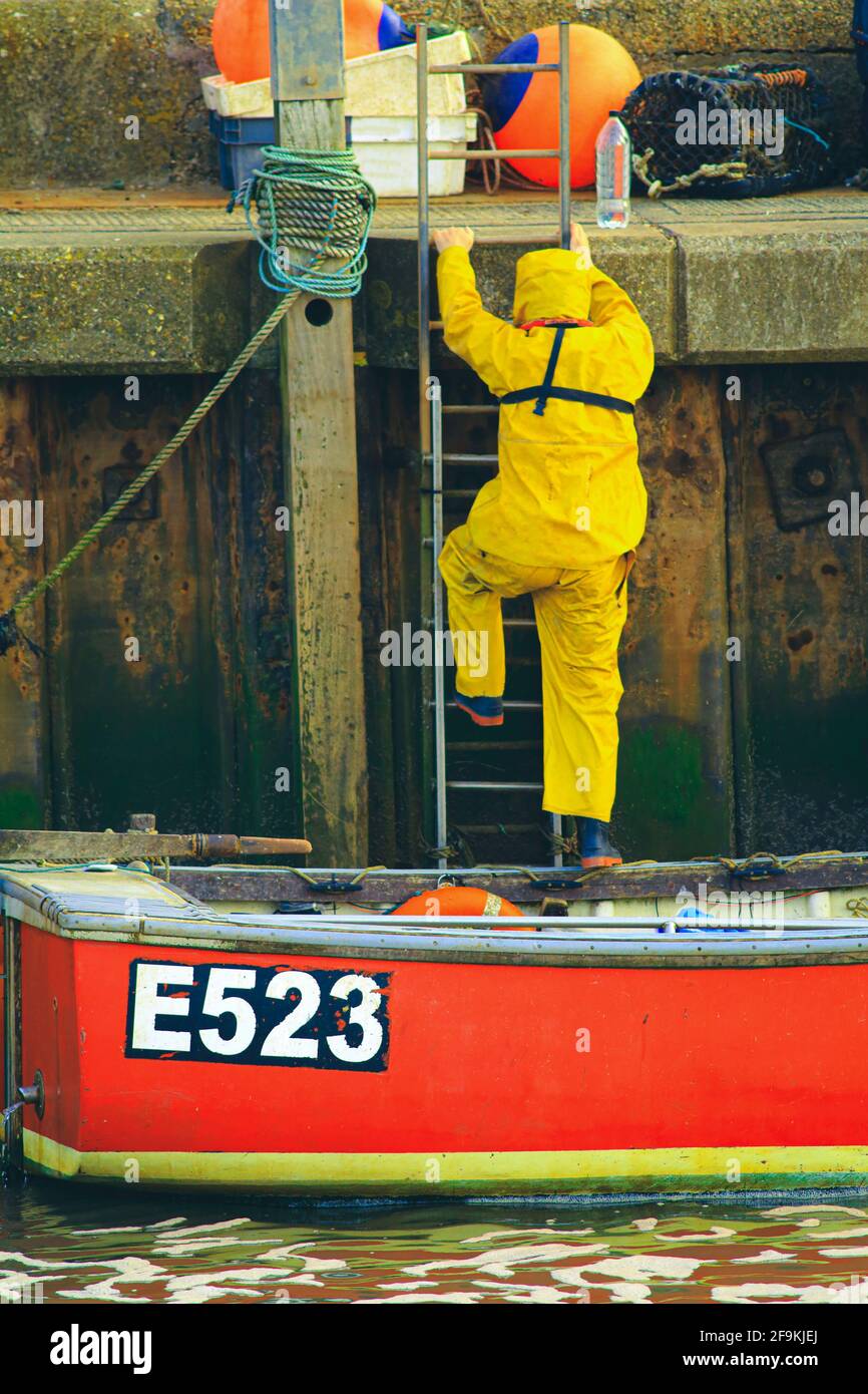 Fisherman wearing yellow waterproof jacket entering boat from ladder in village of Axmouth, Devon Stock Photo