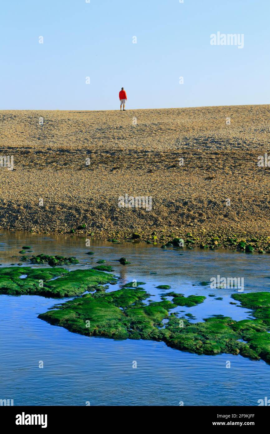 Person walks on the pebble beach near river Axe in Seaton, Devon Stock Photo