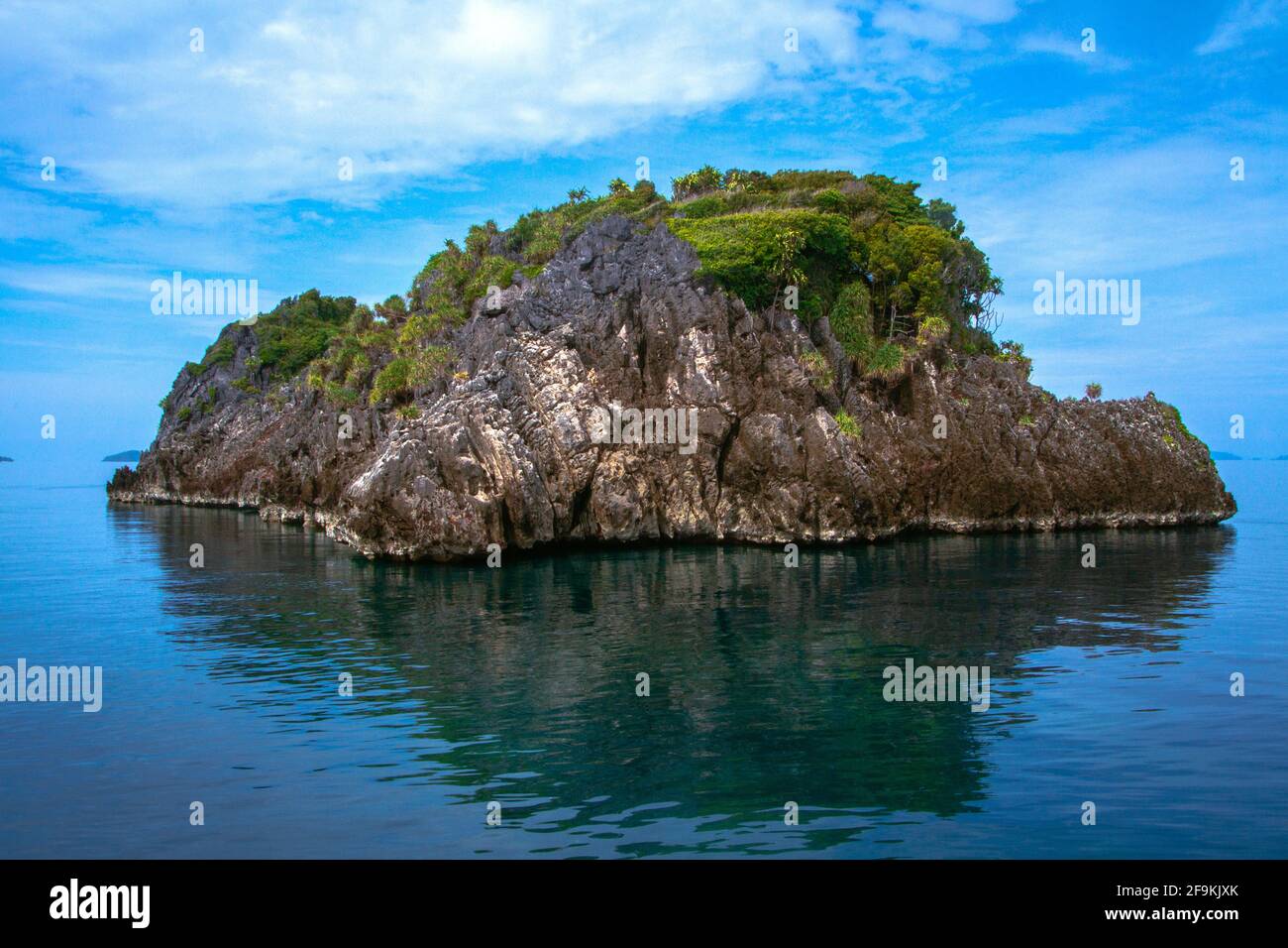 Small Animals in English | Top 25 Smallest Animals in the World • 7ESL Small Animals in English | Top 25 Smallest Animals in the World • 7ESL