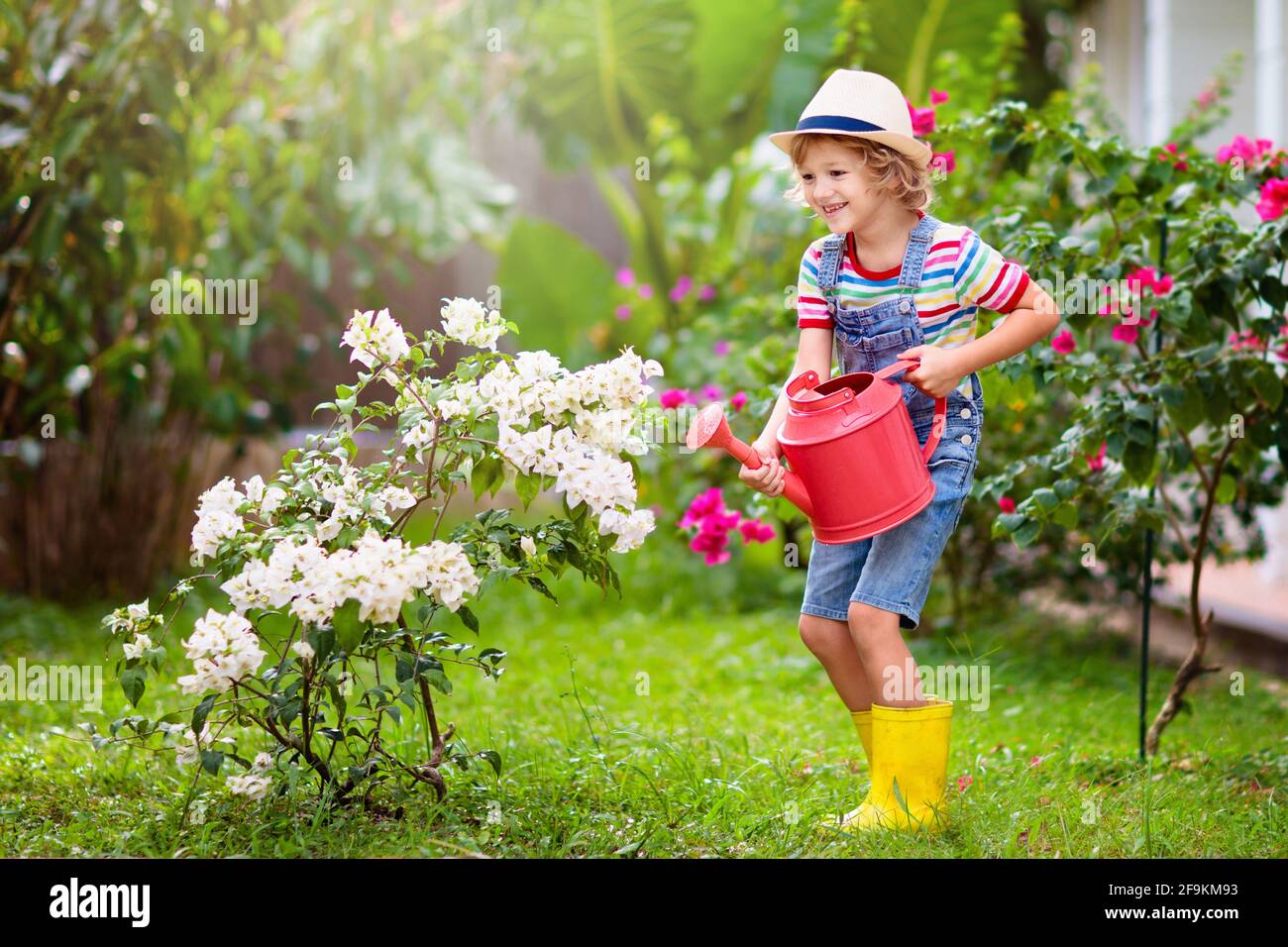 Lifestyle home family water plants hi-res stock photography and images -  Alamy