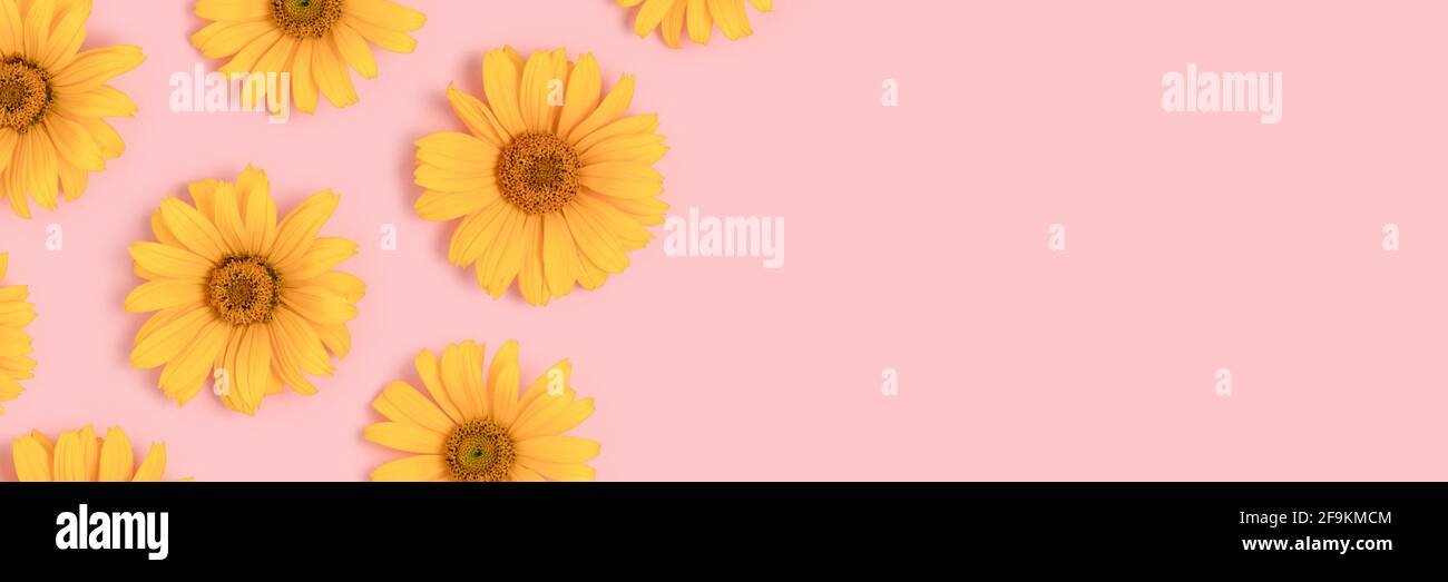 Banner With Frame Made Of Orange Arnica Flowers On A Pink Background Creative Concept With Copyspace Stock Photo Alamy