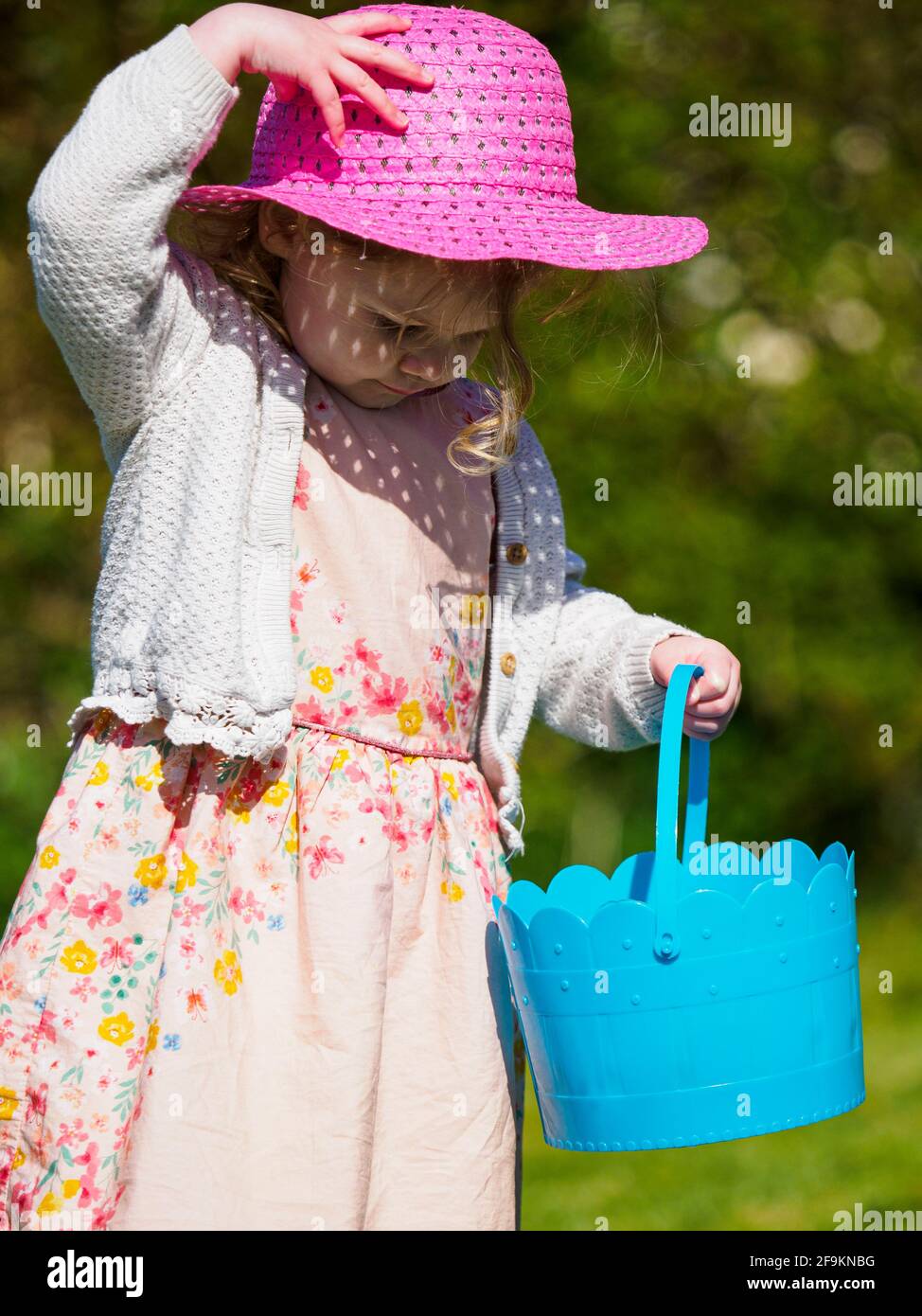 Toddler looking into a bucket she is using to collect Easter egg  during hunt in the garden, UK Stock Photo