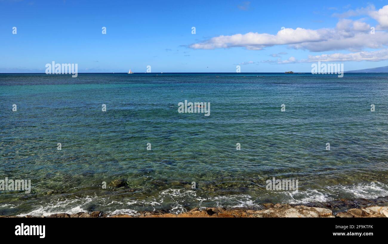 Snorkeling in tropical sea hi-res stock photography and images - Alamy