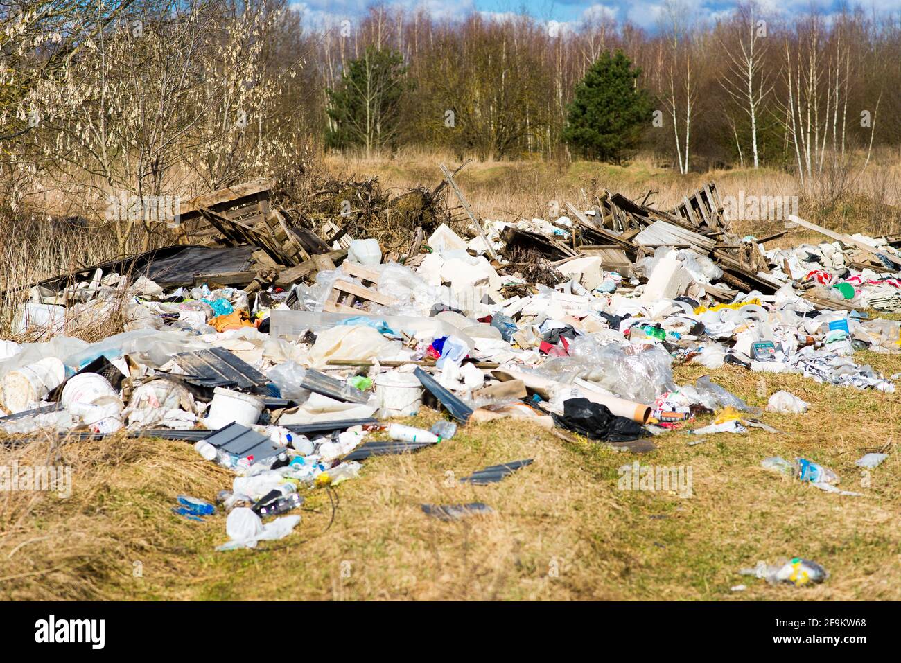 Garbage dump in a woods, forest. Ecological problems Stock Photo - Alamy