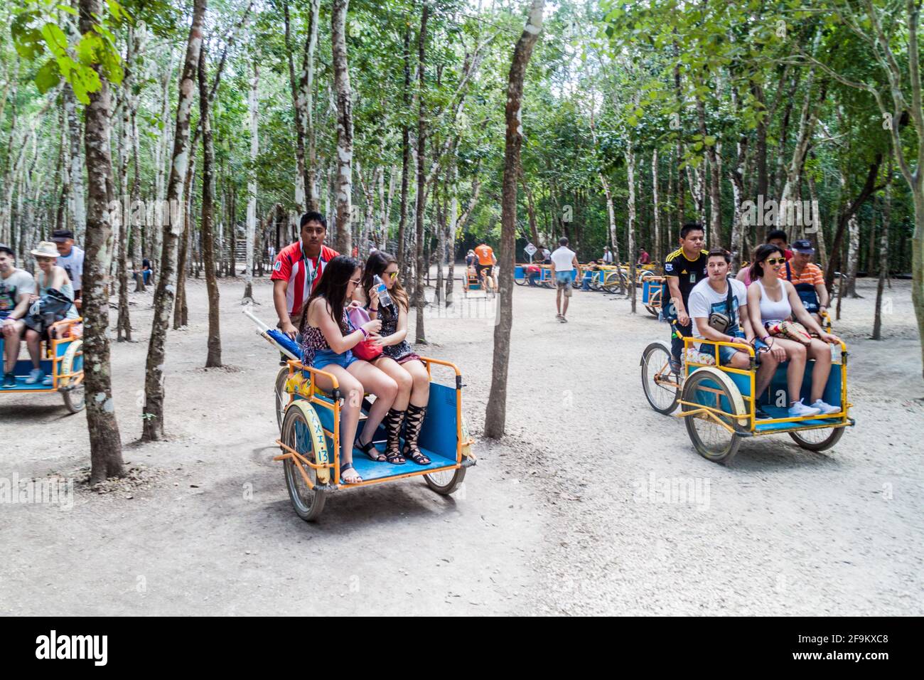 COBA, MEXICO - MARCH 1, 2016: Pedi-trikes bicycle taxi with tourists at the ruins of the Mayan city Coba, Mexico Stock Photo