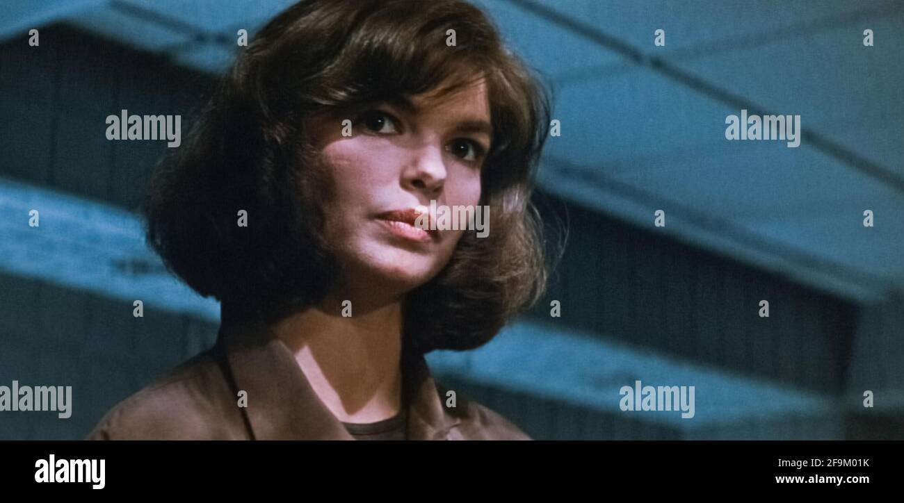 USA. Jeanne Tripplehorn in a scene from (C)TriStar Pictures film: Basic  Instinct (1992). Plot: A violent police detective investigates a brutal  murder that might involve a manipulative and seductive novelist. adventure  hunting