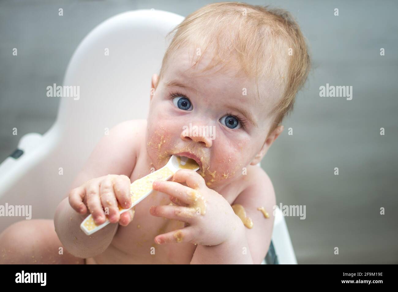 Closeup portrait of a child stained with food. The child is fed from a spoon in a highchair. Real life Stock Photo
