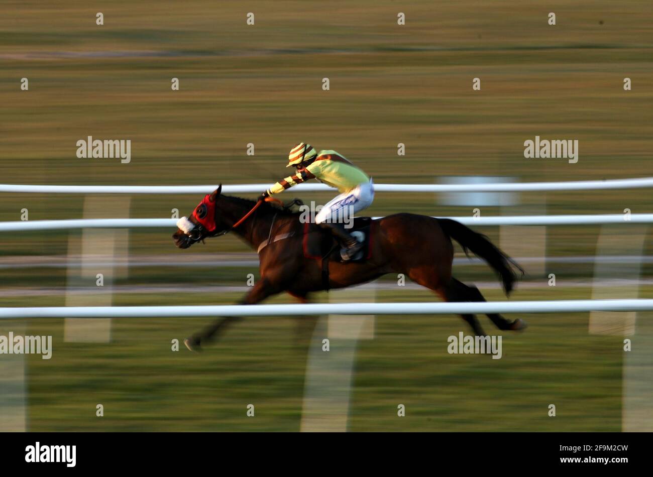 Made for you horse market rasen hires stock photography and images Alamy