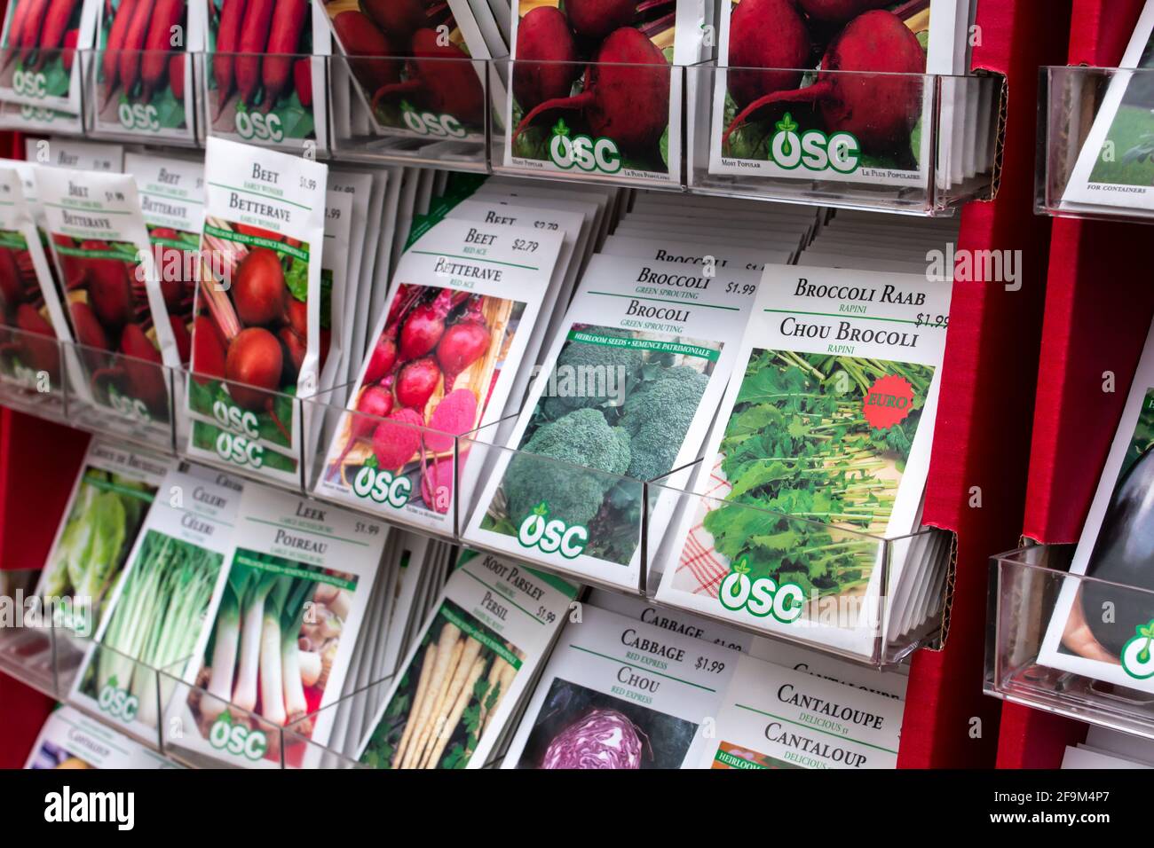 London, Ontario, Canada - March 7 2021: White packets of OSC brand broccoli, beet and cantaloupe seeds lined up on a shelf at Parkway Garden Center. Stock Photo