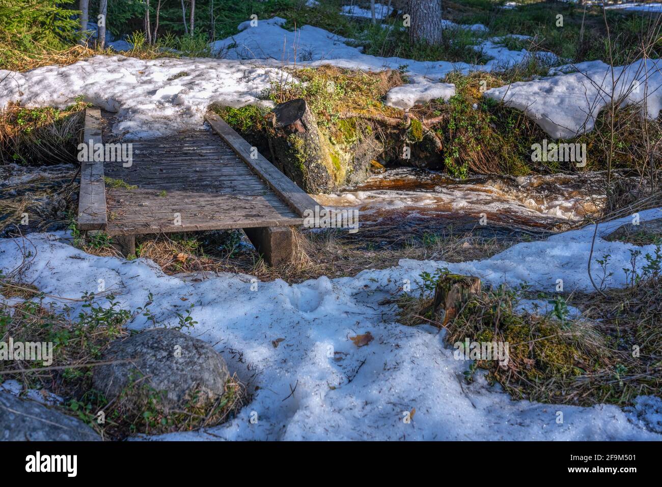 Very small wooden flat bridge over forest creek much water flowing under it. Melting snow in forest close to the running water. Stock Photo