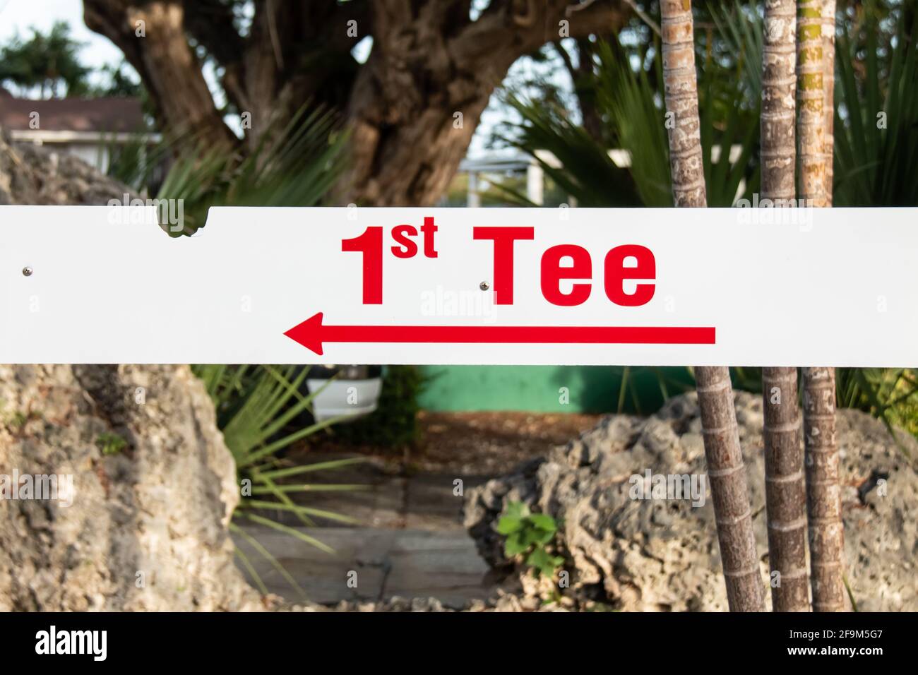 A thin white rectangular sign with bold red Sentence case letters that spell out 1st Tee. Red arrow pointing left, background is a rich jungle. Stock Photo