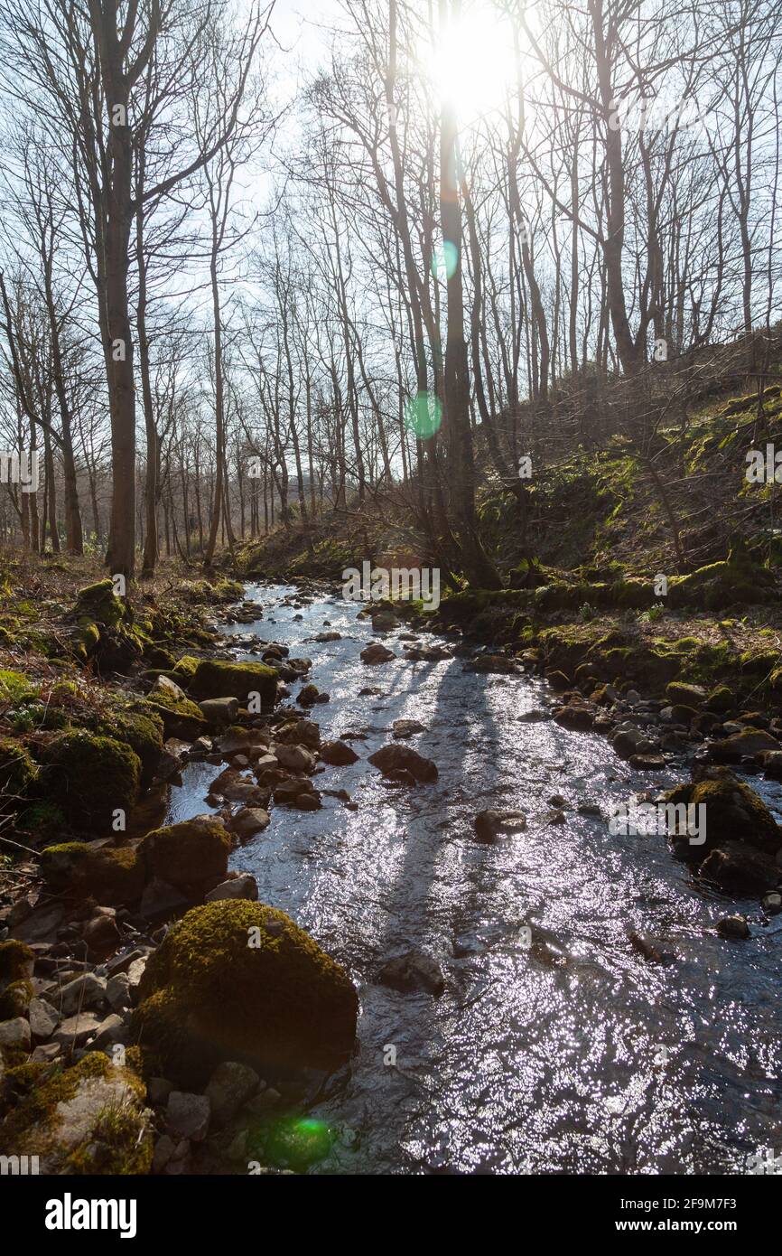 Balcarres den hires stock photography and images Alamy