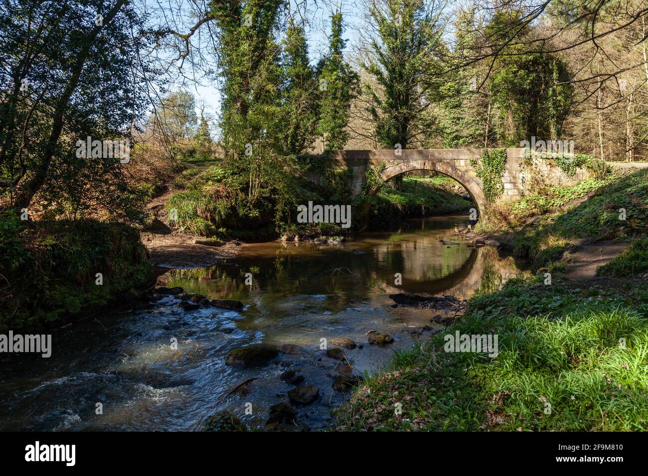 Bluther Burn at the Valleyfield Woodland Park Stock Photo