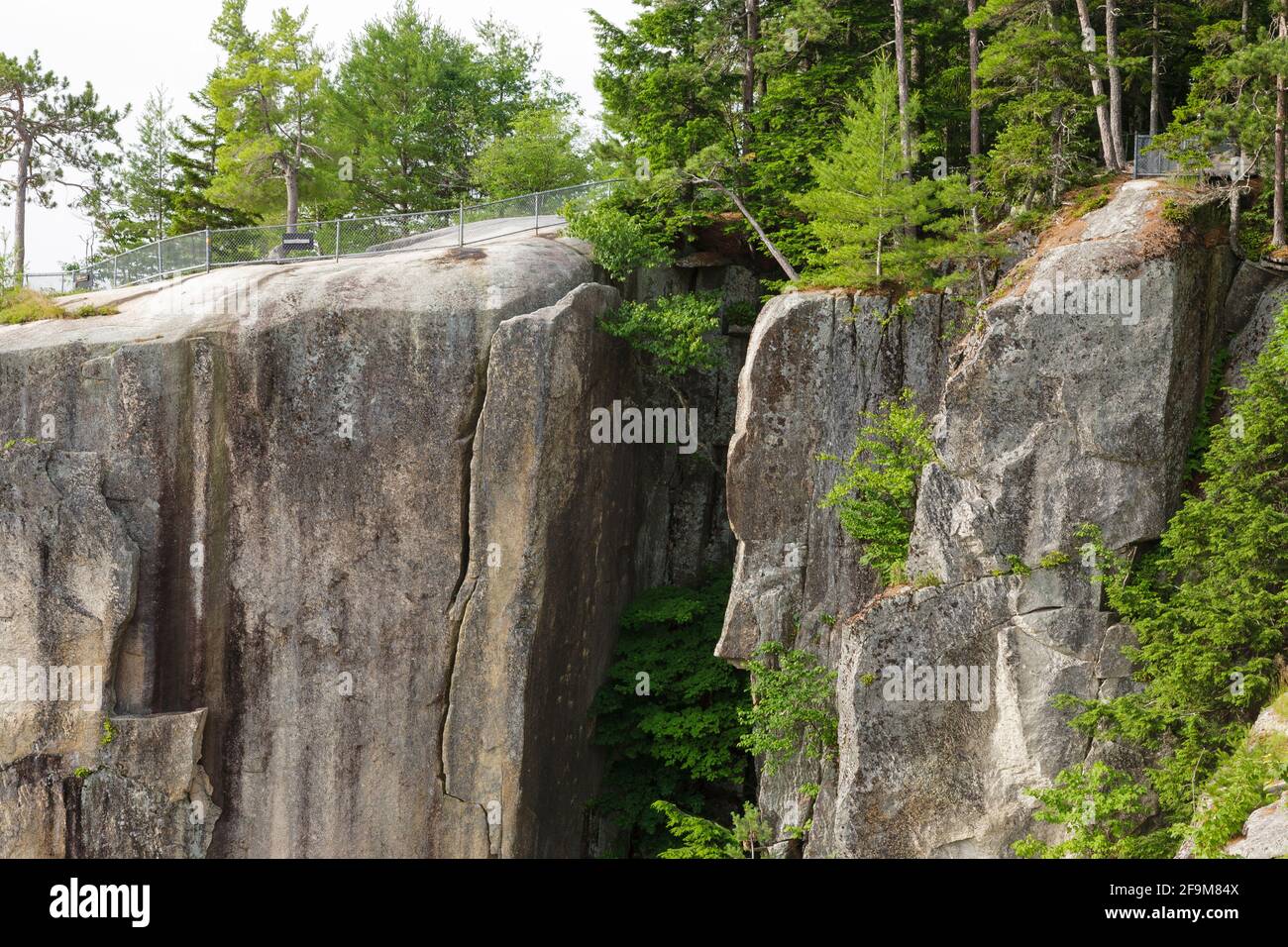 The top of Cathedral Ledge in Bartlett, New Hampshire. Cathedral Ledge is a popular rock