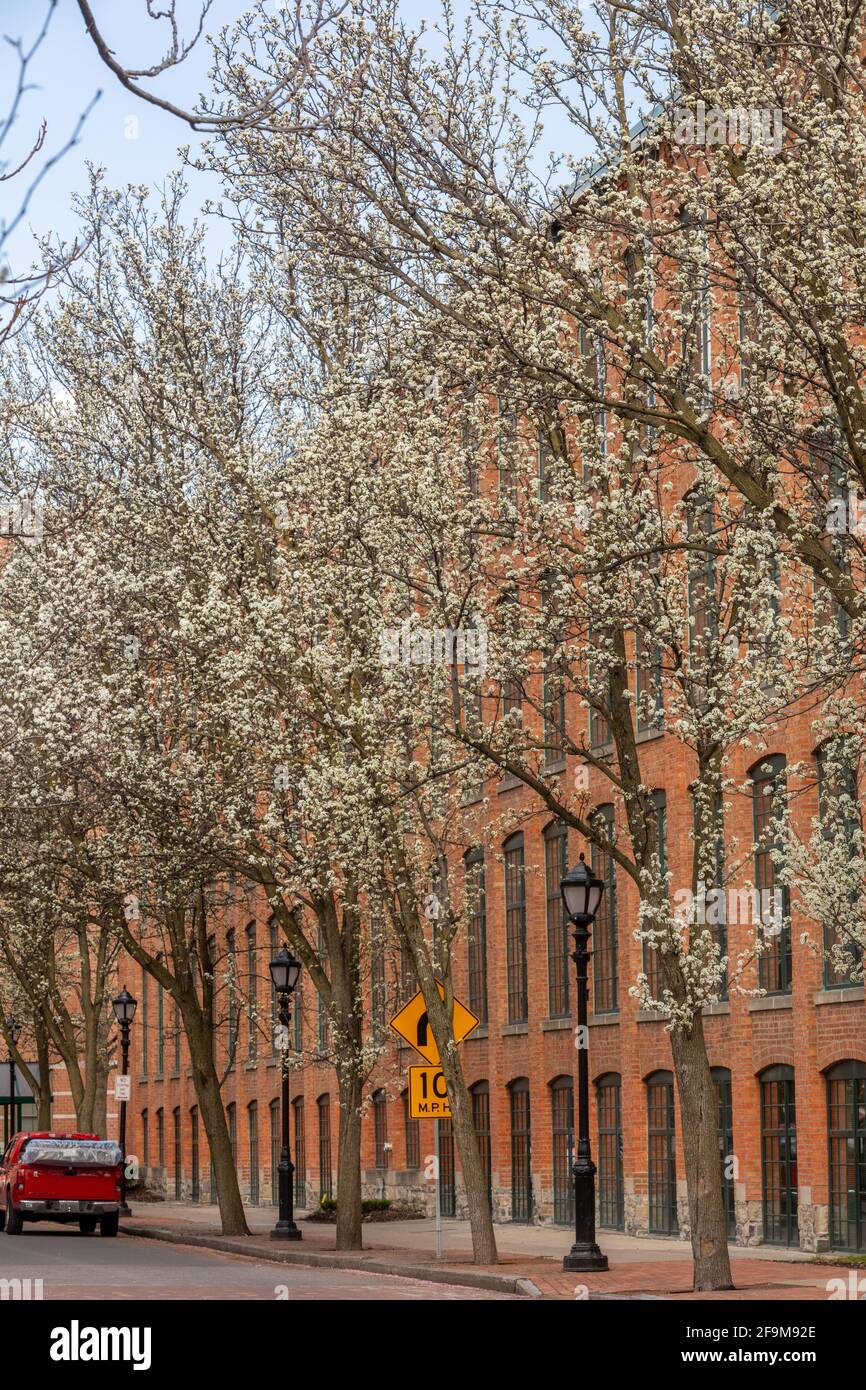 Franklin Square is a former industrial neighborhood, turned residential and commercial, in Syracuse New York. Stock Photo