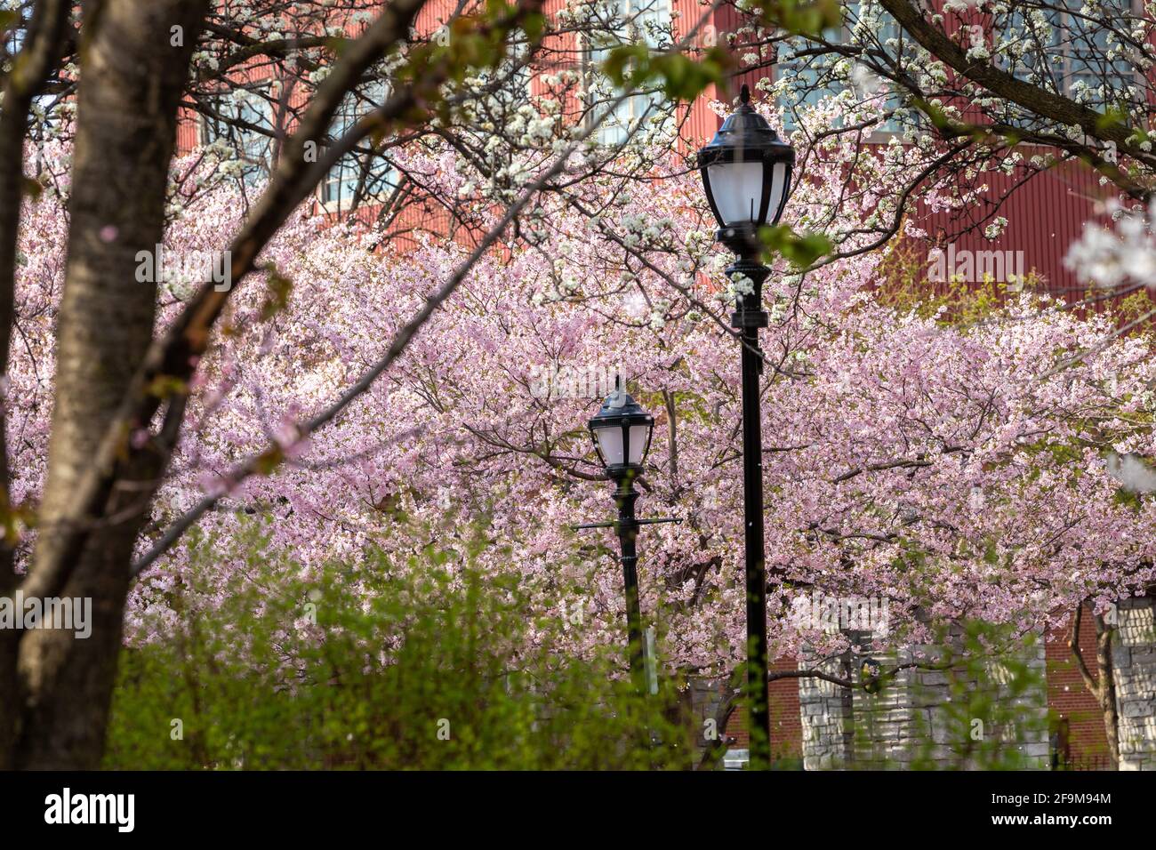 Franklin Square is a former industrial neighborhood, turned residential