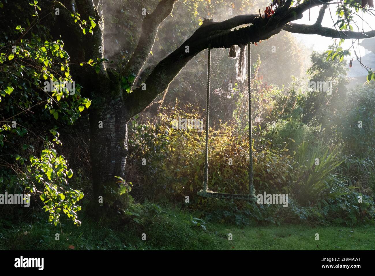 garden swing - atmospheric autumn morning light - UK Stock Photo