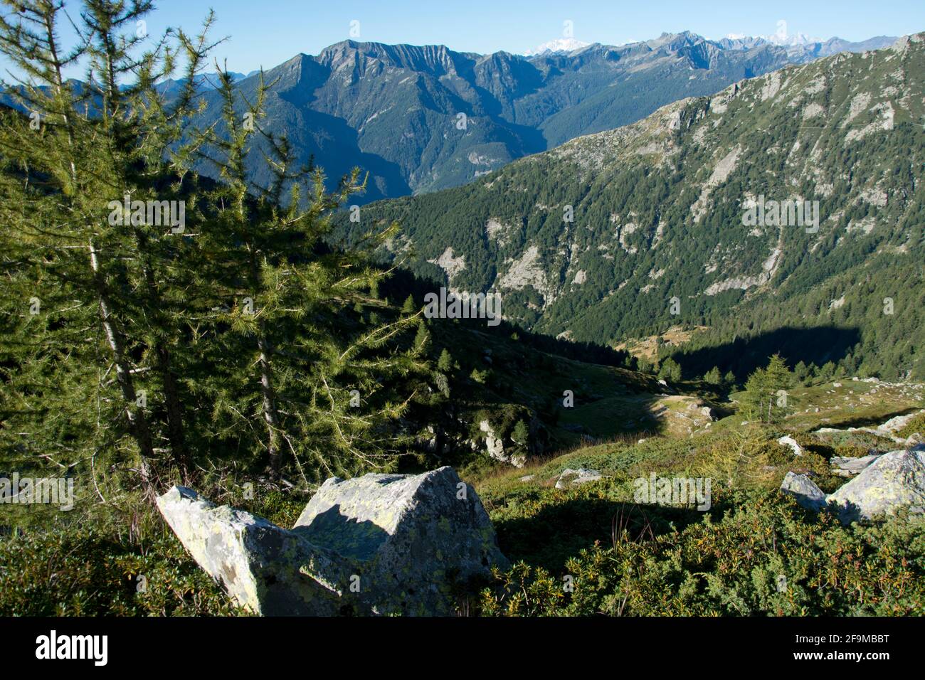 Eindrücke vom Höhenwanderweg Via Alta Maggia im Tessin, Schweiz Stock ...