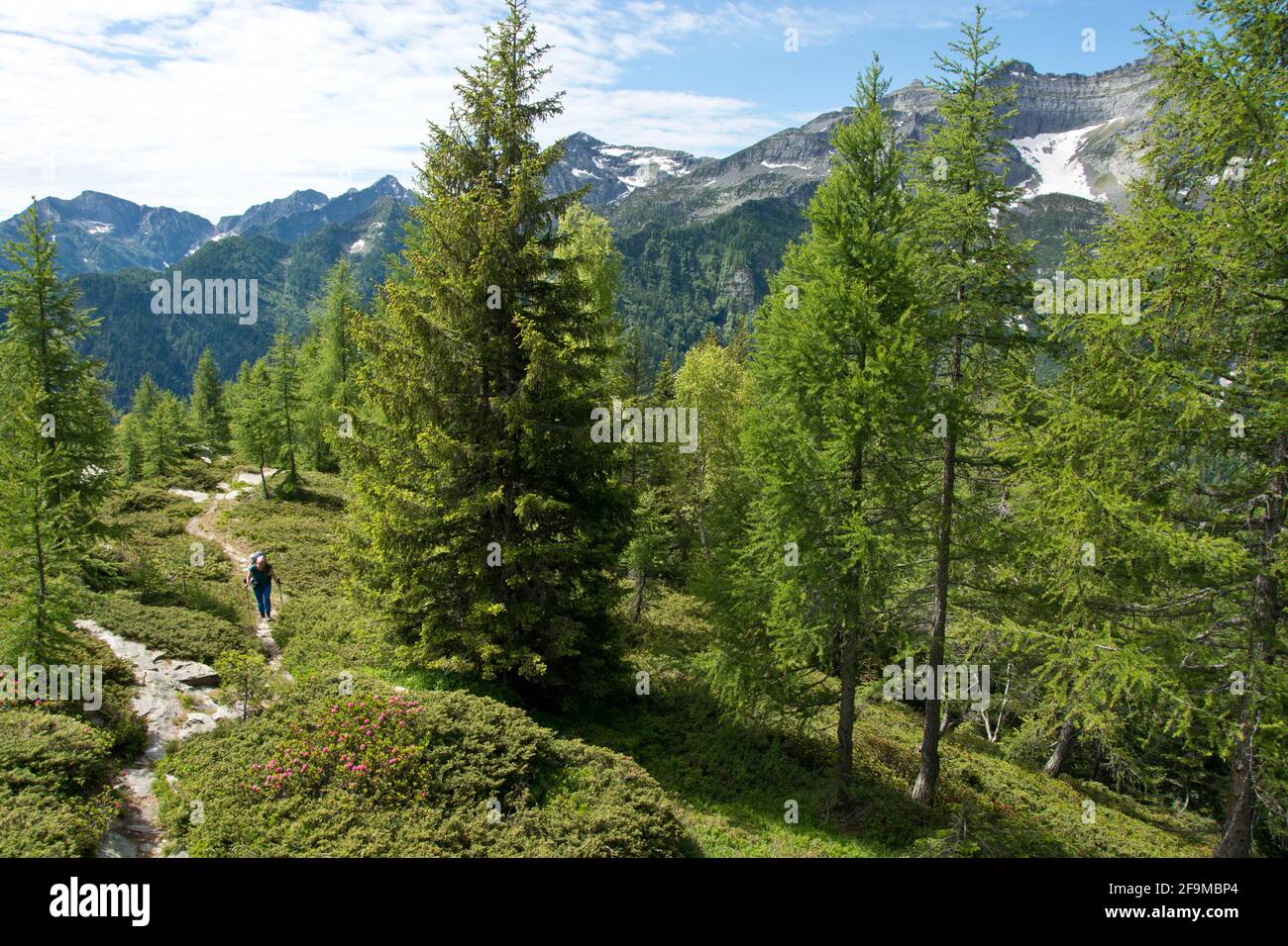 Bergfrühling im wilden Val di Lodrino, ein Seitental der Leventina in der Schweiz Stock Photo