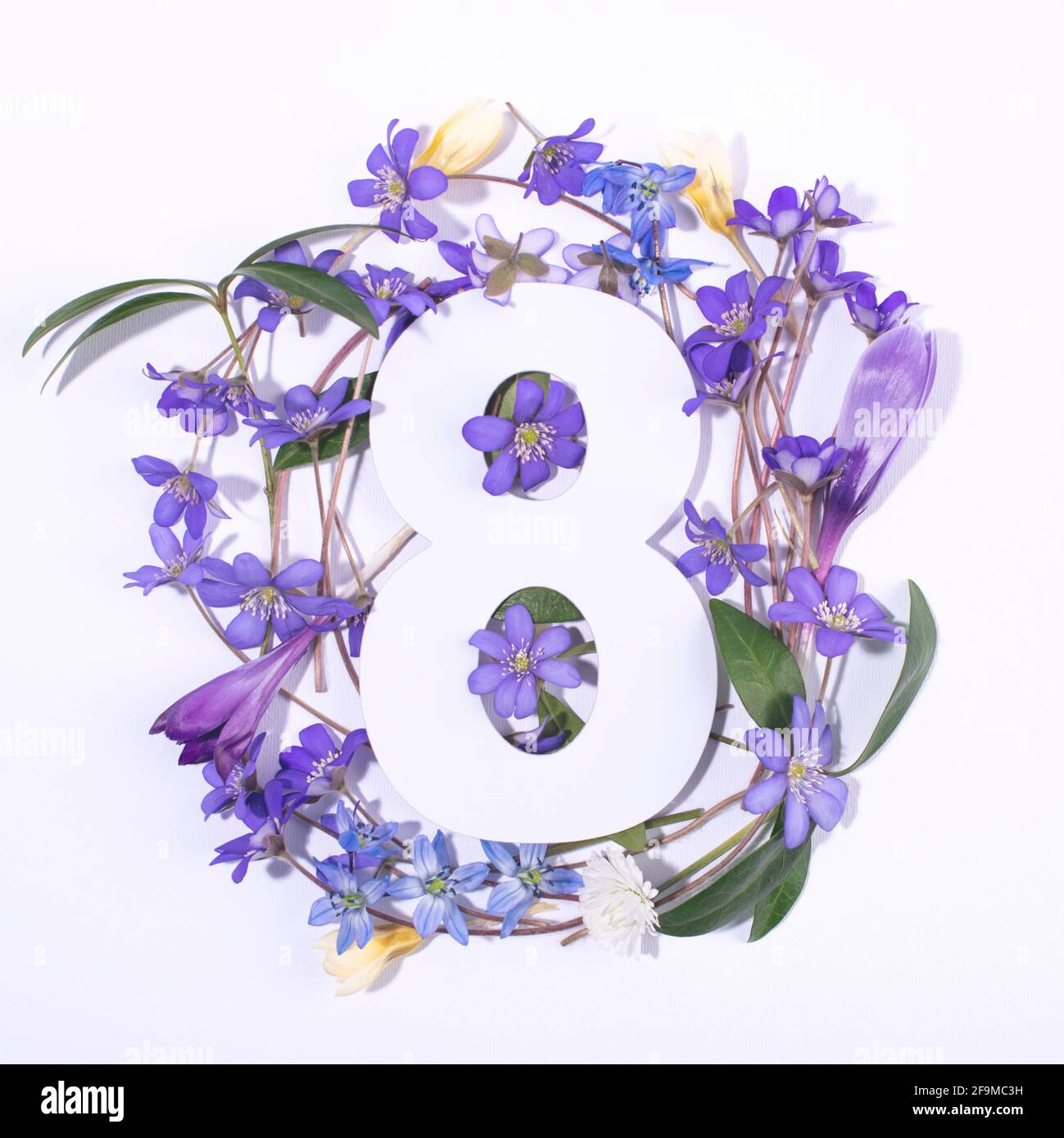 Layout with spring flowers and number eight. Anniversary concept. Flat ...