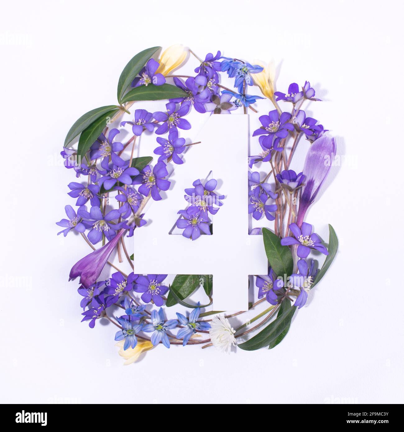 Layout with spring flowers and number four. Anniversary concept. Flat ...