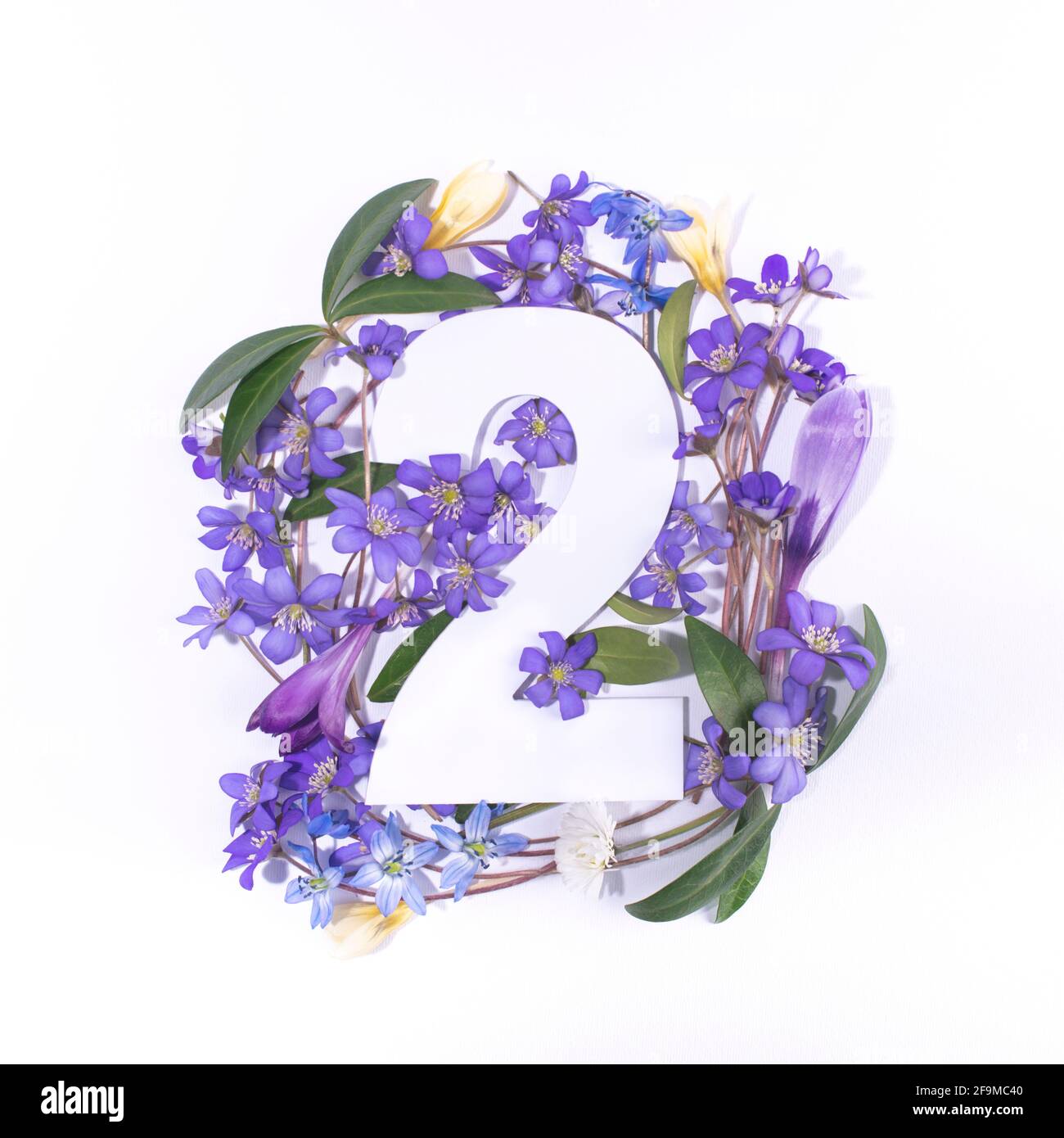 Layout with spring flowers and number two. Anniversary concept. Flat ...