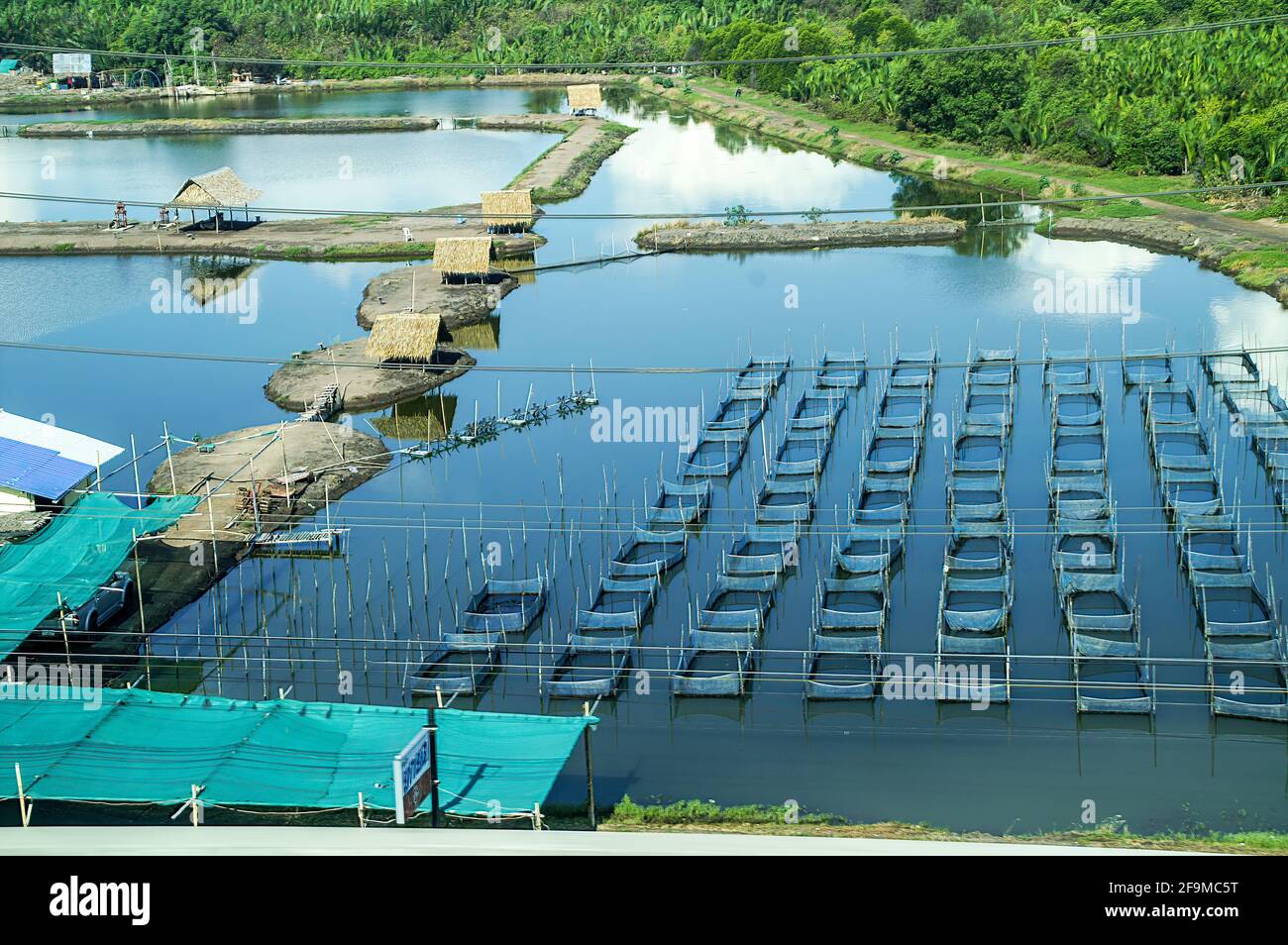Fish farming in Thailand Stock Photo Alamy