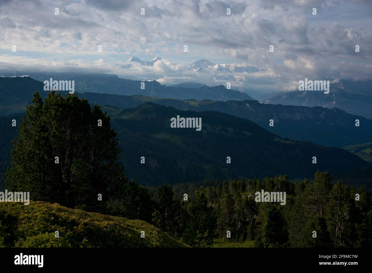Eindrücklicher Blick auf die grossen 4000er des Berner Oberlands vom Hohgant-Massiv Stock Photo