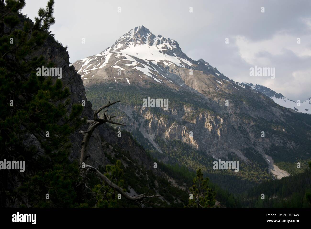 Schweizerischer Nationalpark: Ausblick von Munt la Schera Richtung Val del Gallo Stock Photo