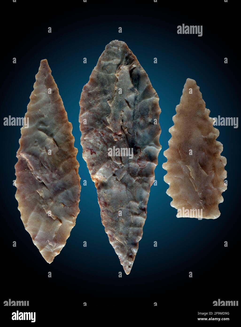 Neolithic Flint Arrowhead Points, Sahara Desert Africa Stock Photo - Alamy
