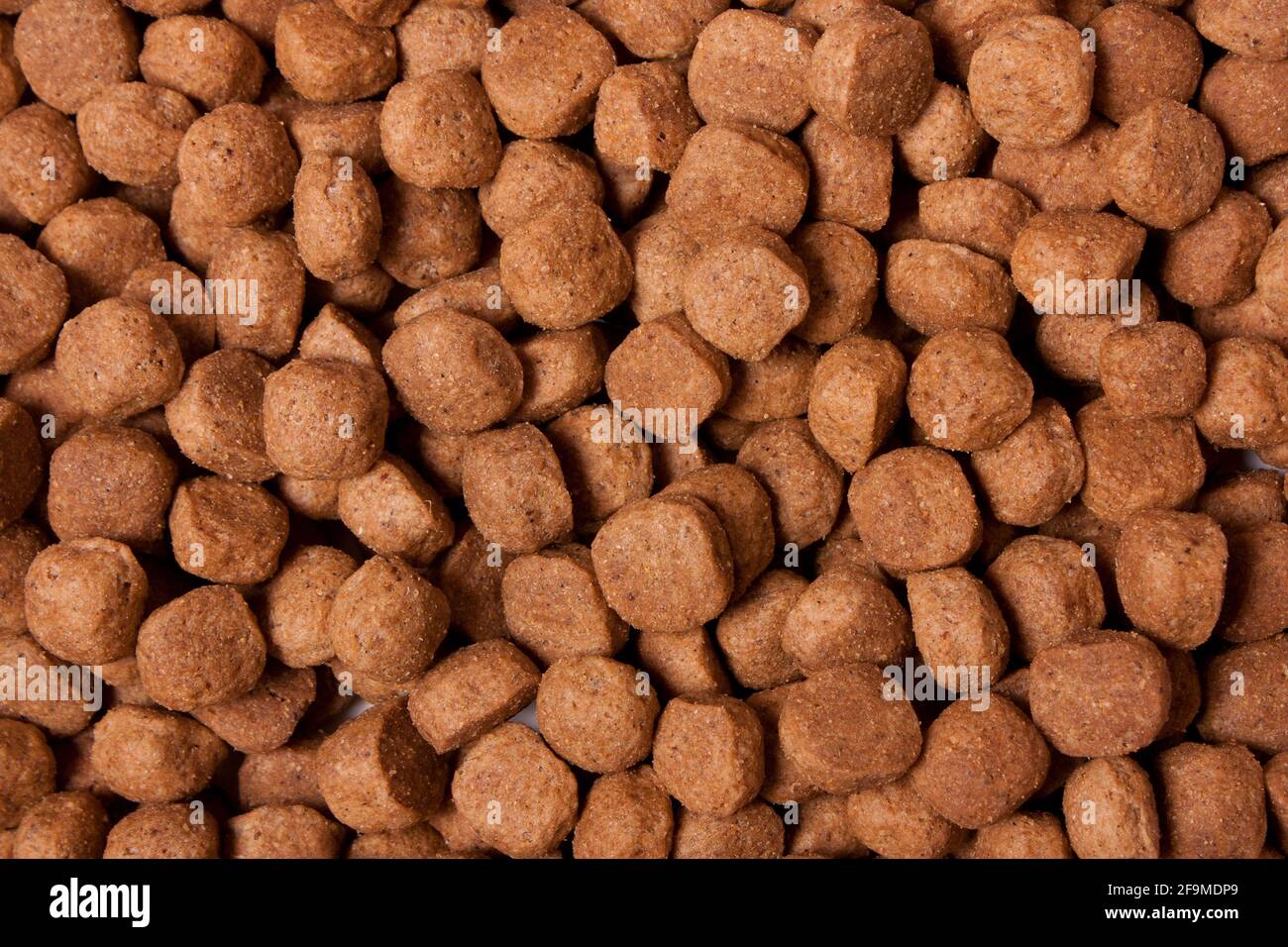 Dog Kibble spread over a background Stock Photo